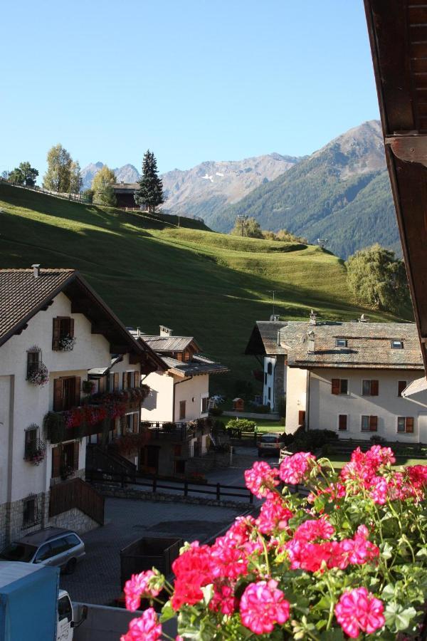 Chalet Stelvio Bormio Exterior photo